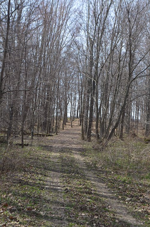 Property photo 123 - REAL ESTATE & PERSONAL PROPERTY AUCTION, 140 Acres offered in 8 Tracts or Combinations in Steuben County